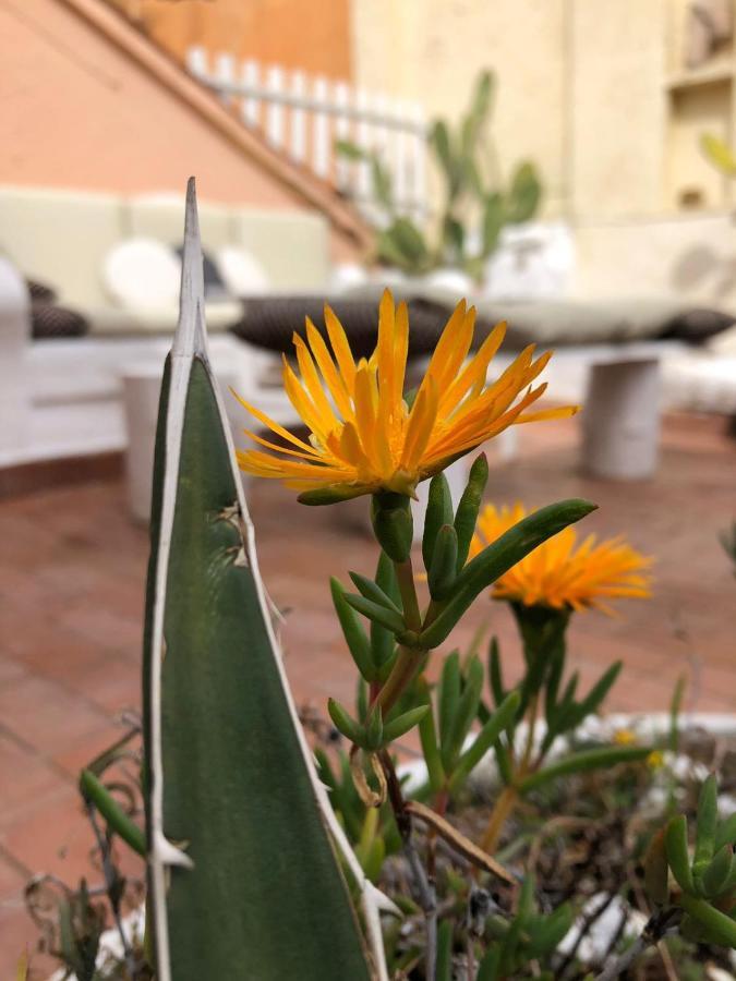 Appartement Elite Navona à Rome Extérieur photo